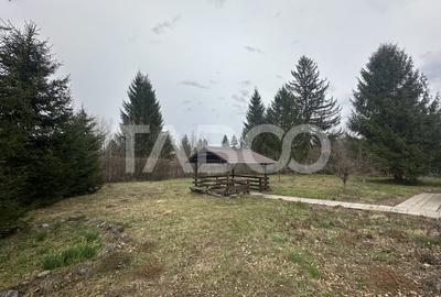 Cabana cu 1524 mp de teren de vanzare pe Valea Avrigului in zona Mlaci - 10