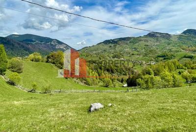 Teren in sat Pestera, comuna Moeciu. - 4