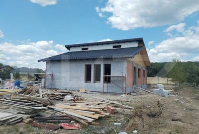 Vila individuala pe parter Priseaca - 9