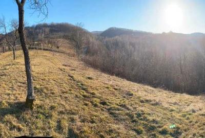 Casă cu 4 camere în Ciucea - 4