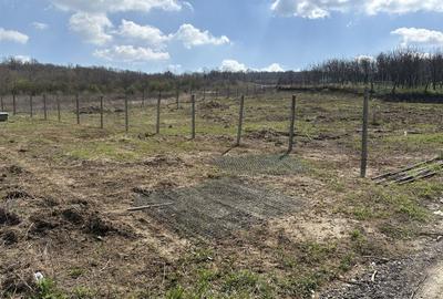 Spațiu comercial, în Vlădiceni - 3