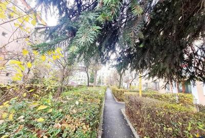 Cartierul Florilor, imobil renovabil, etaj intermediar, zona linistita, Brasov - 12