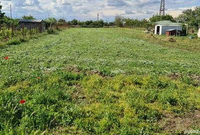 Teren de 2500 mp, în Nord - 6