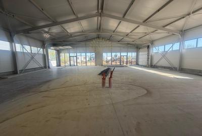 Spațiu industrial, de 150 mp, în Theodor Pallady - 2