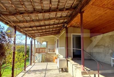 Casa renovabila cu 11508 mp teren, in Copaceni - 18