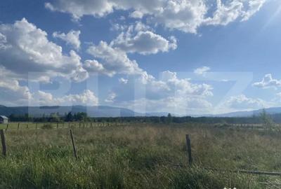 Teren de 3850 mp, în Central