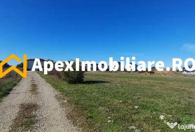 Teren în Corbeanca - 11
