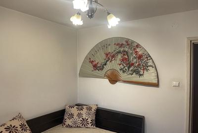 Drumul Taberei  -  Valea Argesului - Apartament  2 camere - Modern - 5