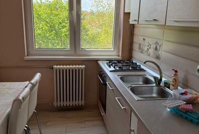 Apartament cu 2 camere nedecomandat, mobilat în Horea - 4