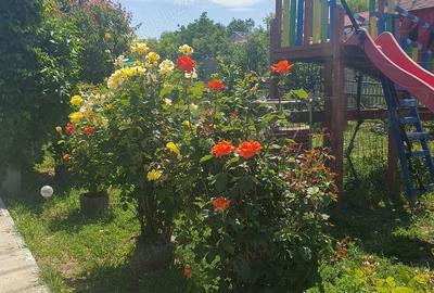 Casă cu Teren 800 Mp în Smârdan - 4