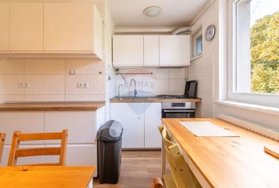 Apartament 4 camere, de inchiriat- Grigorescu - 13