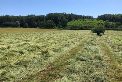 Teren arabil de 630 hectare în Galați - 2