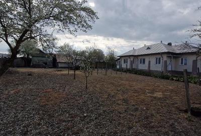 Casă cu Teren 1045 Mp în Ciorani - 4