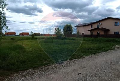 Teren 601mp Balotesti / Strada Morarilor - 7