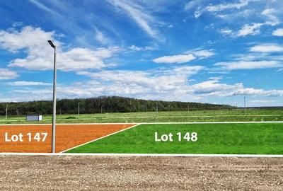 Terenuri de vanzare, zona verde, acces din DN1A, eForest - 1