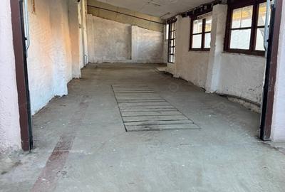 Spațiu comercial, de 52 mp, în Iosefin - 2
