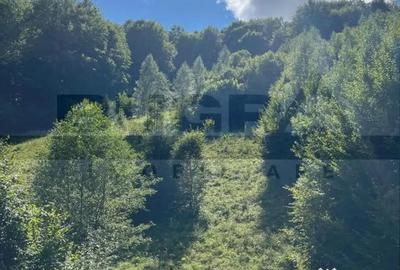 Casă cu 4 camere cu Teren 1000 Mp în Vale