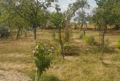 Casă cu 4 camere în Central - 1