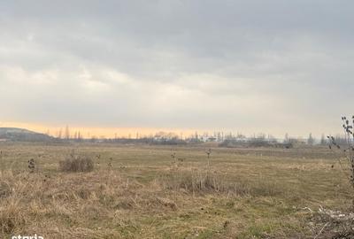 Teren de 3000 mp, în Aninoasa - 7