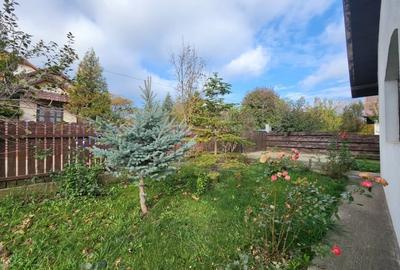 Casa 3 camere, 383mp teren, partial mobilata, utilata. Lunca Cetatuii-Astoria - 14