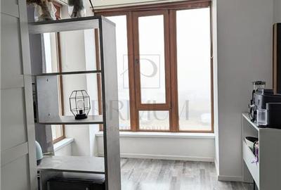 Apartament cu 2 camere semidecomandat, mobilat în Torontalului - 7