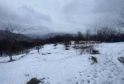 Teren intravilan de 5229 mp, în Șotrile - 1