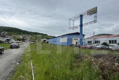 Teren de 1100 mp, în Viișoara - 19