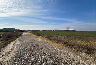 Teren Construcții intravilan de 5985 mp, în Nojorid - 5