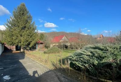 Casă cu 7 camere cu Teren 2544 Mp în Cicârlău - 8