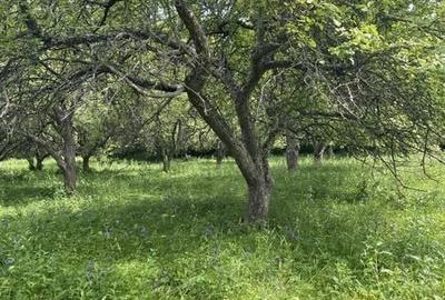 Teren de 27000 mp, în Moldovenești