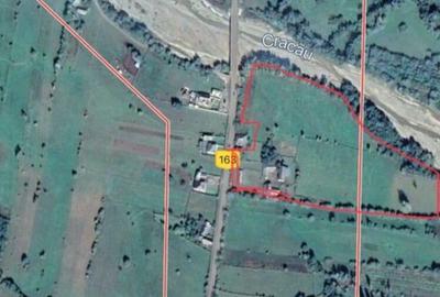 Teren de 30000 mp, în Crăcăoani - 2