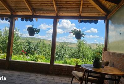 Casă cu 4 camere în Viișoara - 12