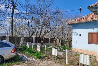 Casă cu 4 camere cu Teren 3850 Mp în Olanu - 10