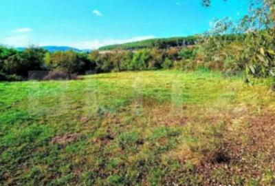 Teren în Șoimuș - 1