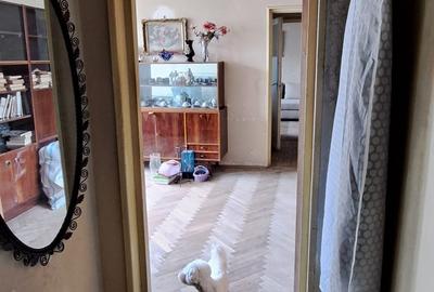 Dristor - Intrarea Parului - Apartament 2 camere - 8