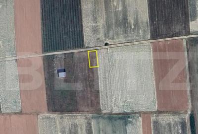 Teren în Viile Satu Mare - 1