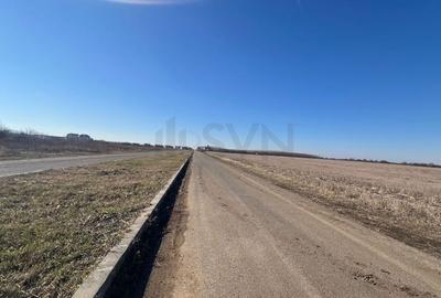 REL4000892 Corbeana - Ostratu 15200 mp langa padure - 4