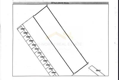 Teren de 20600 mp, în Joița - 2