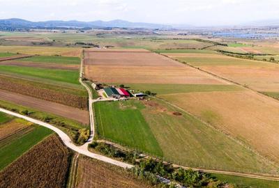FILM! 18.000 mp,extravilan,agricol constructii, recomandat:f - 7