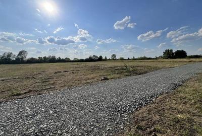 Bucovăț | PUZ nou | Utilități în curs | Lângă Maria Parc Residence - 4