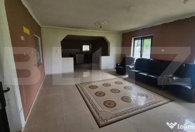 Casă cu 3 camere cu Teren 2918 Mp în Vetiș - 17