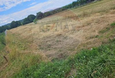 Teren 1,945mp Sarasau / Drumul PRINCIPAL - 2