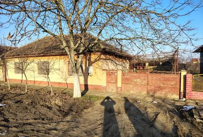 Vand casa in localitatea Horia - 4