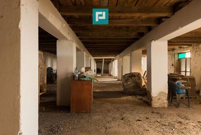 Hală industrială cu teren generos în Zărand, Arad - 18