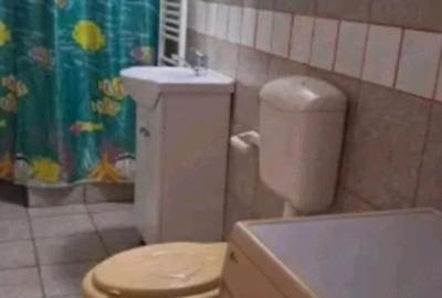 Casă cu 2 camere cu Teren 150 Mp în Rahova - 3