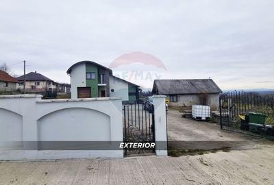 Casă cu 4 camere cu Teren 3657 Mp în Buzești - 31