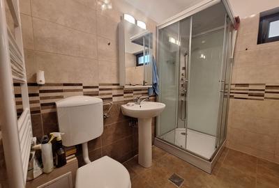 Duplex cu 2 camere cu Canalizare în Prelungirea Ghencea - 7