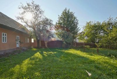 Teren intravilan 7.255?mp +casa rustica ideal pen... - 10