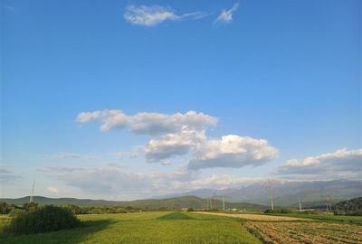 Teren agricol extravilan de 5305 mp, în Periferie