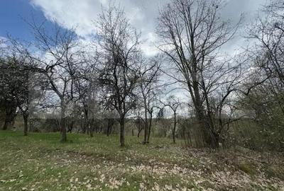 Vand casa cu 1 ha de livada in Carmazanesti - 2